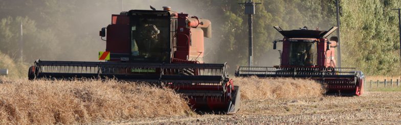 The image shows two large combine harvesters operating in a field, harvesting crops. Dust rises around the machines as they work through the dry vegetation, emphasizing the intensity and scale of agricultural operations. The scene captures a typical moment in modern farming, where machinery plays a crucial role in efficiently managing crop production.